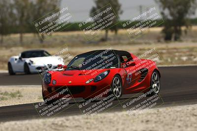 media/May-25-2025-Lotus Club Golden Gate (Sun) [[681474f0a2]]/Novice Group/Turn 4/